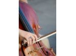 Violoncellista Verona