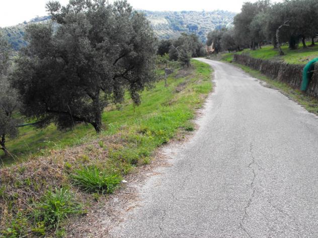 Agricolo in Località Caselle - Foto 3