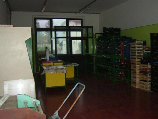 Immobile in asta di 135 m² in vendita a Pergola - Foto 10