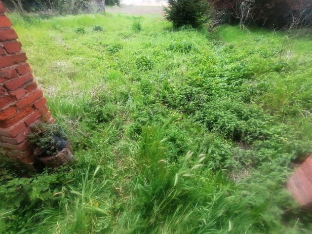 Fienile in vendita a Parezzana - Capannori 90 mq Rif: 1385943 - Foto 6