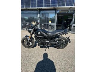 BENELLI Leoncino 500 . rif. 23850885