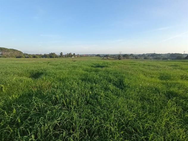 Terreno Agricolo - Rif. 2445 - Foto 7