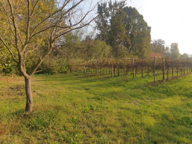 Terreno di 15000 m² in vendita a Correggio - Foto 5