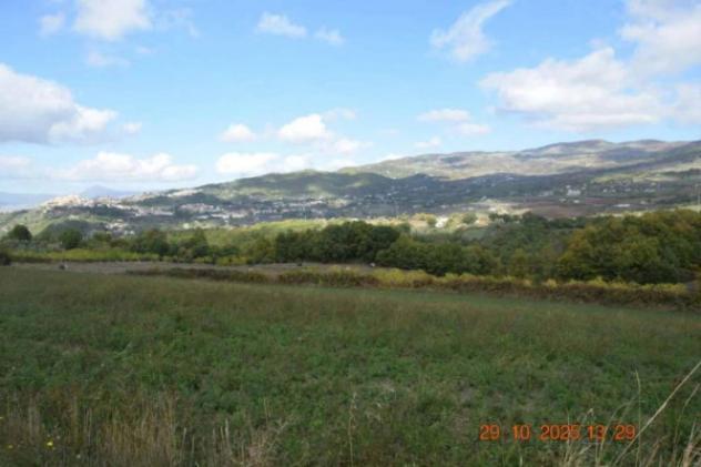 Immobile in asta di 8423 m² in vendita a Picerno - Foto 8