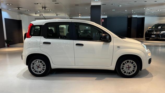 FIAT PANDA 1.0 70CV - 2022 - Foto 8