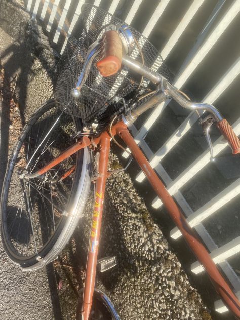 Bici da uomo con lucchetto, cestino e portapacchi - Foto 4