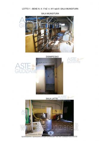 IMMOBILI-IMMOBILE COMMERCIALE-Via San Martino, 67022 Capestrano AQ, Italia - Foto 4