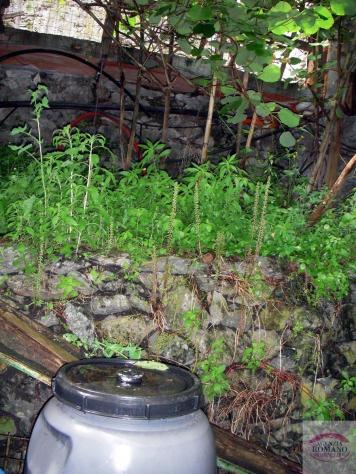 Porzione di casa in vendita a Albisola Superiore - Foto 19
