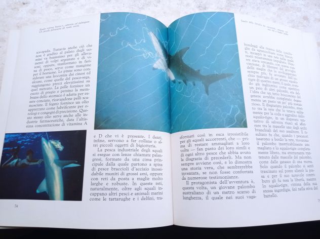 Alla Scoperta Del Mare di Bruno Vailati - Foto 2