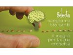 IMPIEGATA/O CONTABILE