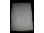 AUTOGRAFO ORIGINALE,DEL CALCIATORE ITALIANO ROBERTO BAGGIO DEL BRESCIA,NAZIONALE