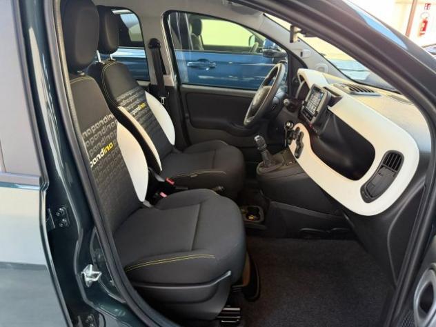 FIAT Pandina Pandina Cross 1.0 firefly hybrid s&s 65cv rif. 24148025 - Foto 9