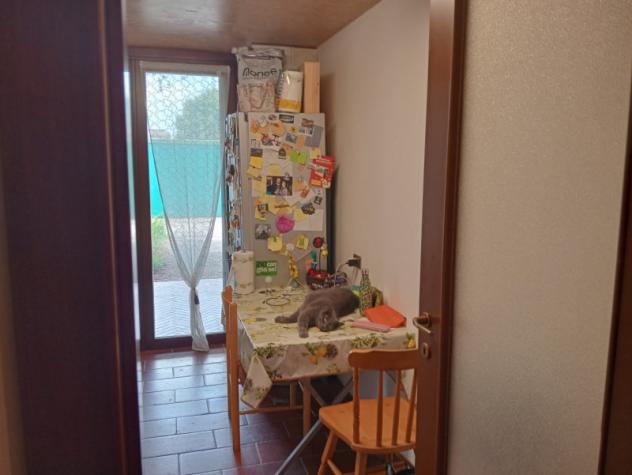 Appartamento a Padova - Rif. A004 - Foto 3