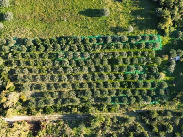 Agricolo in Via Provinciale