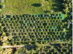 Agricolo in Via Provinciale
