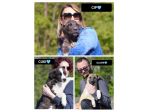 OLIVER, CIP E CUKI, 3 MESI (07/12/25), TAGLIA MEDIA, ABBANDONATI PER STRADA