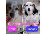 TRILLY E SNOOPY 11 ANNI
