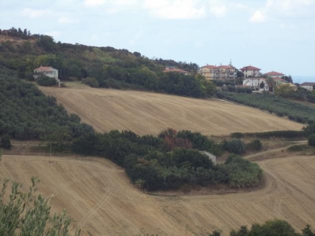Casale in vendita a Colonnella - Foto 16
