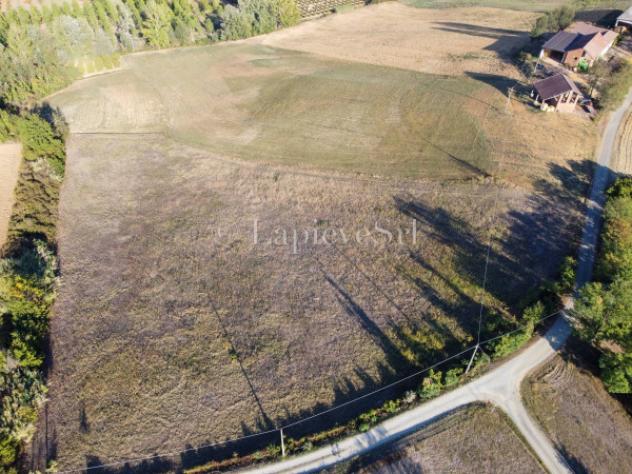 Rustico / Casale di 70000 m² con più di 5 locali in vendita a Fubine Monferrato - Foto 5