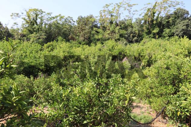 Terreno in vendita a Mascali, Santa Venera - Foto 17