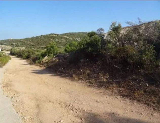 Immobile in asta di 5745 m² in vendita a Olbia - Foto 2