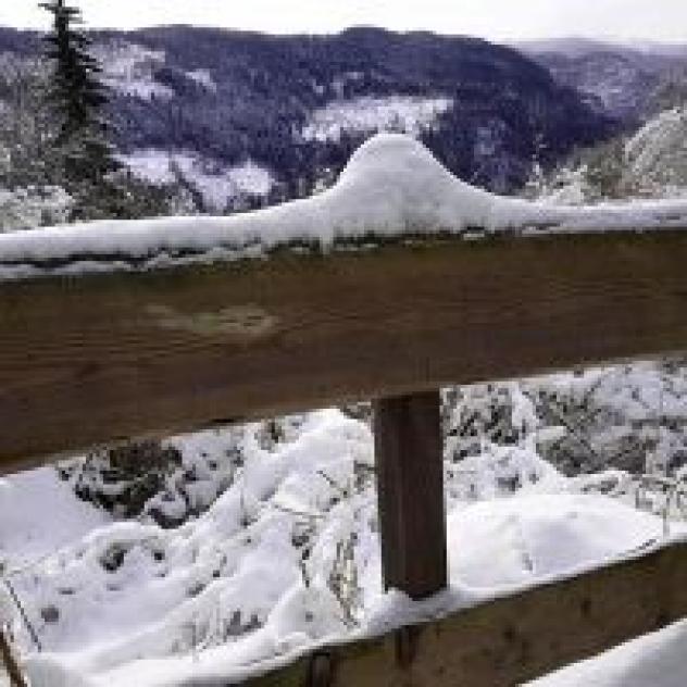 Sole Neve del Trentino S.r.l.