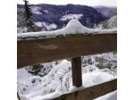 Sole Neve del Trentino S.r.l.