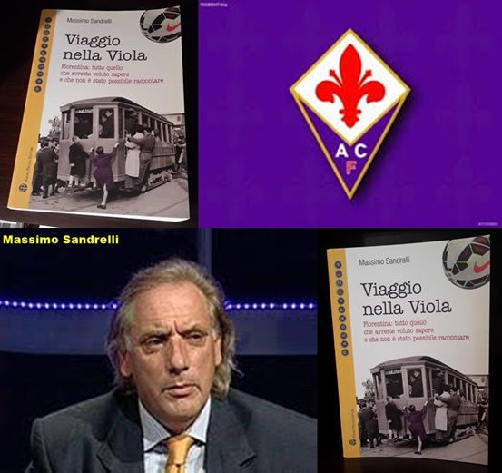 Viaggio nella viola, Massimo Sandrelli, Mauro Pagliai Editore, Dicembre 2014.