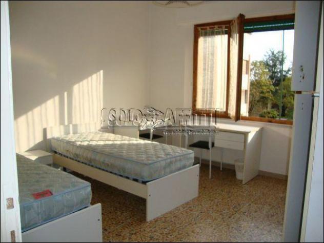 Stanza in appartamento in affitto a Siena