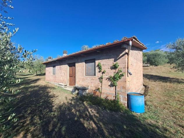 Valdambra - Annesso in Muratura con Terreno e Uliveto - Rif. C10 - Foto 4