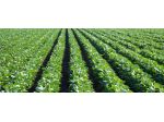 Azienda Agricola 30 km a Ovest di MI