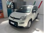 FIAT Panda 1.0 FireFly 70cv S&S Hybrid