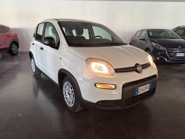 FIAT Panda Panda 1.0 firefly hybrid s&s 70cv 5p.ti - Foto 7