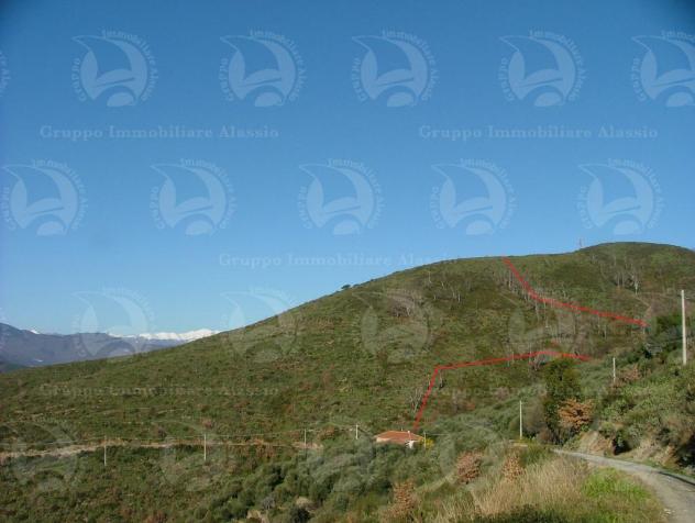 Alassio Andora, terreno incolto collinare, vista mare. - Foto 9