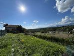 Casale in pietra ristrutturato con vigneto