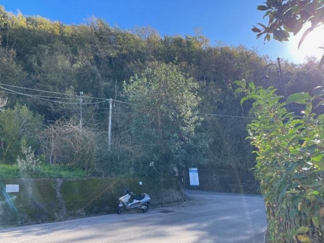terreno con piccolo rudere - Foto 2