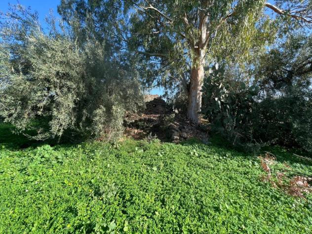 Seminativo in vendita a Motta Sant'Anastasia - Foto 3