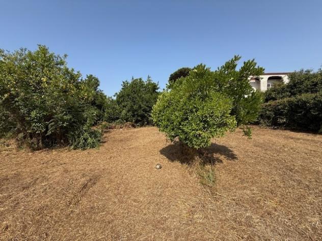 Terreno edificabile in vendita a Nettuno - Foto 15