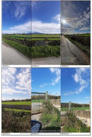 IMMOBILI-ALTRA CATEGORIA-SP334, Serre SA, Italia - Foto 3