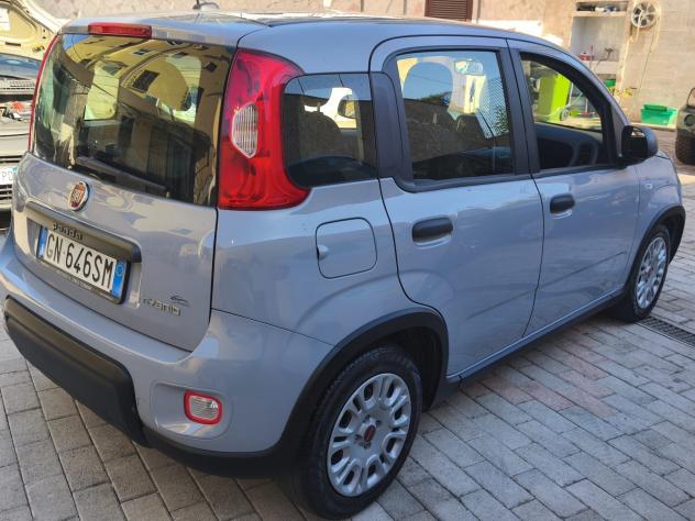 Fiat Panda 1.0 FireFly S&S Hybrid Garmin - Foto 6