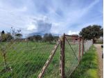 Terreno agricolo in vendita a Rugginosa - Poggetti Vecchi - Grosseto 1000 m &hellip;