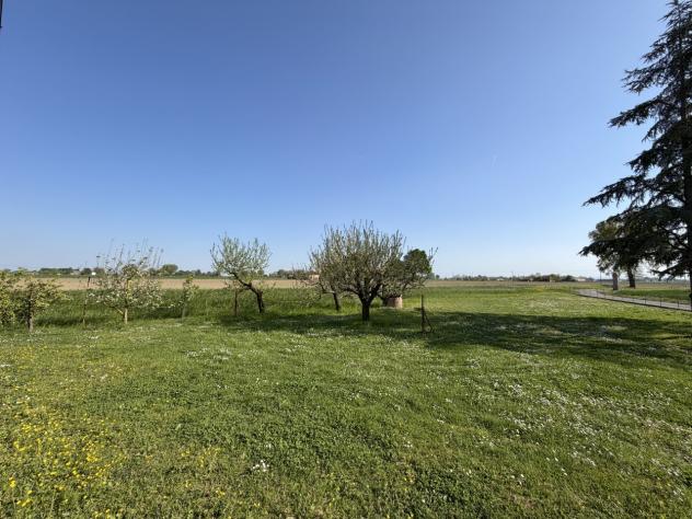 Rustico in vendita a Budrio - Foto 6