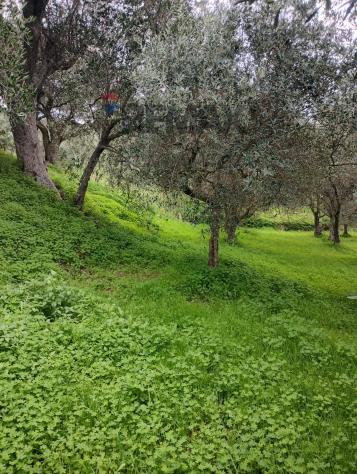 Terreno in vendita a Ficarra - Foto 2