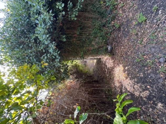 Immobile in asta di 10919 m² in vendita a Fiumefreddo di Sicilia - Foto 2