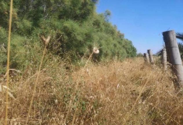 Immobile in asta di 89313 m² in vendita a Fiumicino - Foto 2