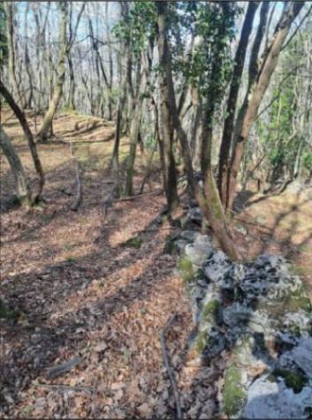 Immobile in asta di 1709 m² in vendita a Rovereto - Foto 7