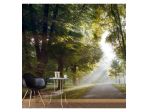 Fotomurale Adesivo Sulla Strada Verso La Foresta Arredalacasa