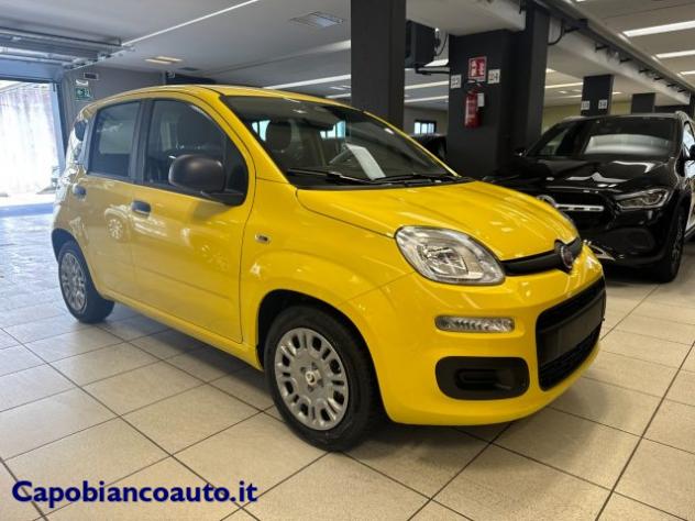 FIAT Panda 1.0 FireFly S&S Hybrid POP KM0 PROMO rif. 23776901 - Foto 3