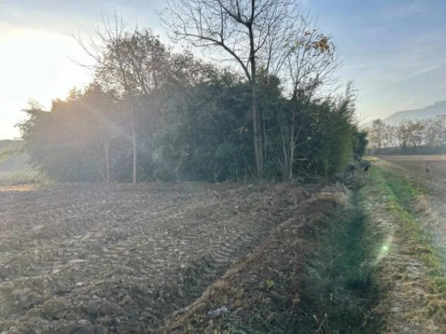 Immobile in asta di 360 m² con più di 5 locali e box auto in vendita a Cavour - Foto 6