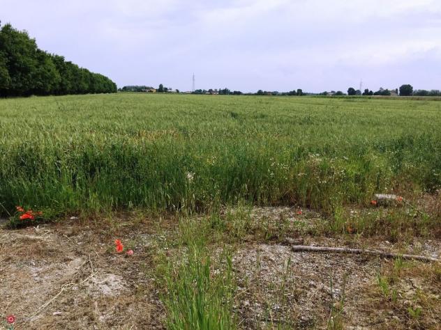 Terreno agricolo in Vendita in Via Cavata 245 a Carpi - Foto 3
